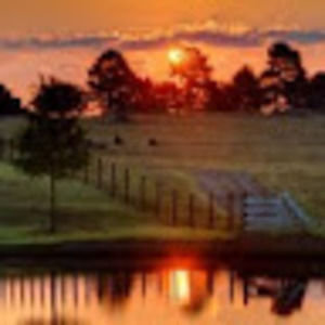 Meet your Posher, Mark2013